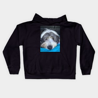 Bearded Collie - Chilled, Calm and Cute Beardie Kids Hoodie